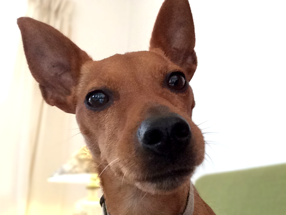 Cover-fotografi: Maryna Yazbeck - Unsplash.com